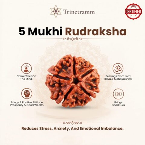 Trinetramm_5 mukhi web image