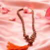 1 to 14 mukhi siddh Rudraksha mala