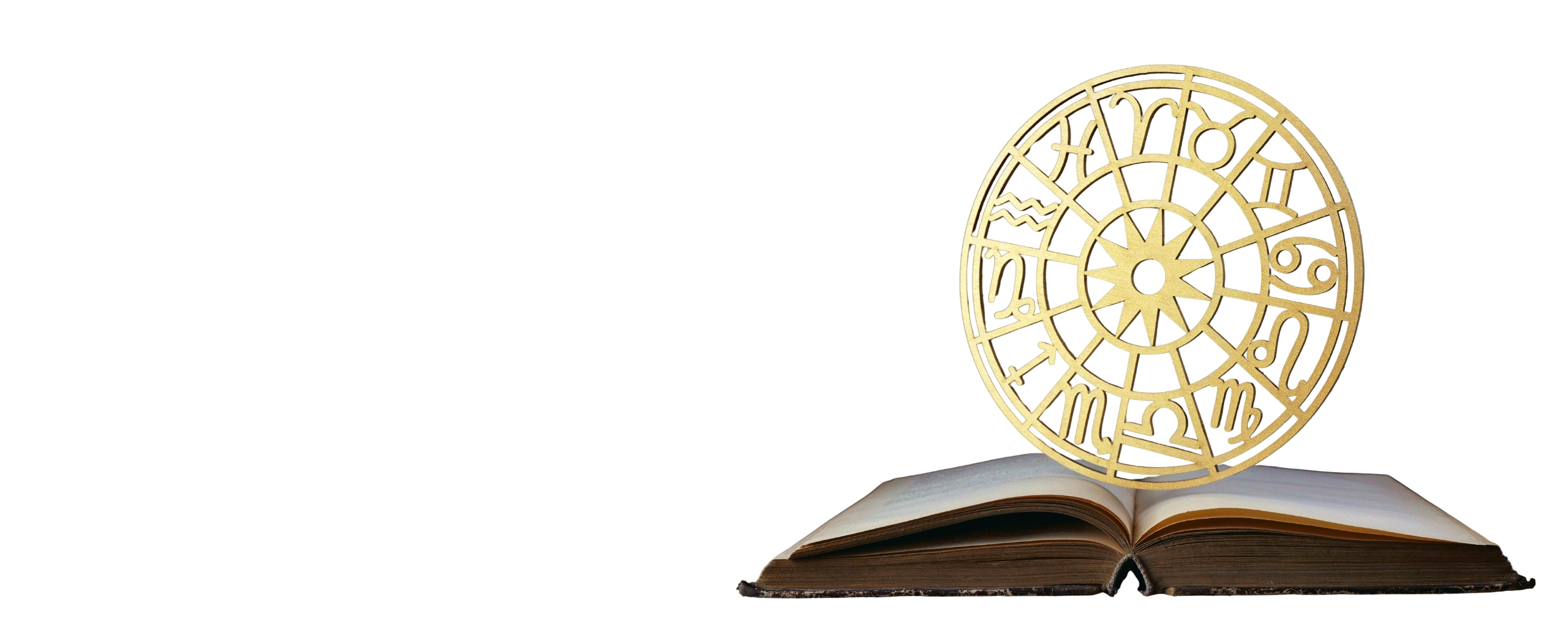 slider-3-trinetramm-website